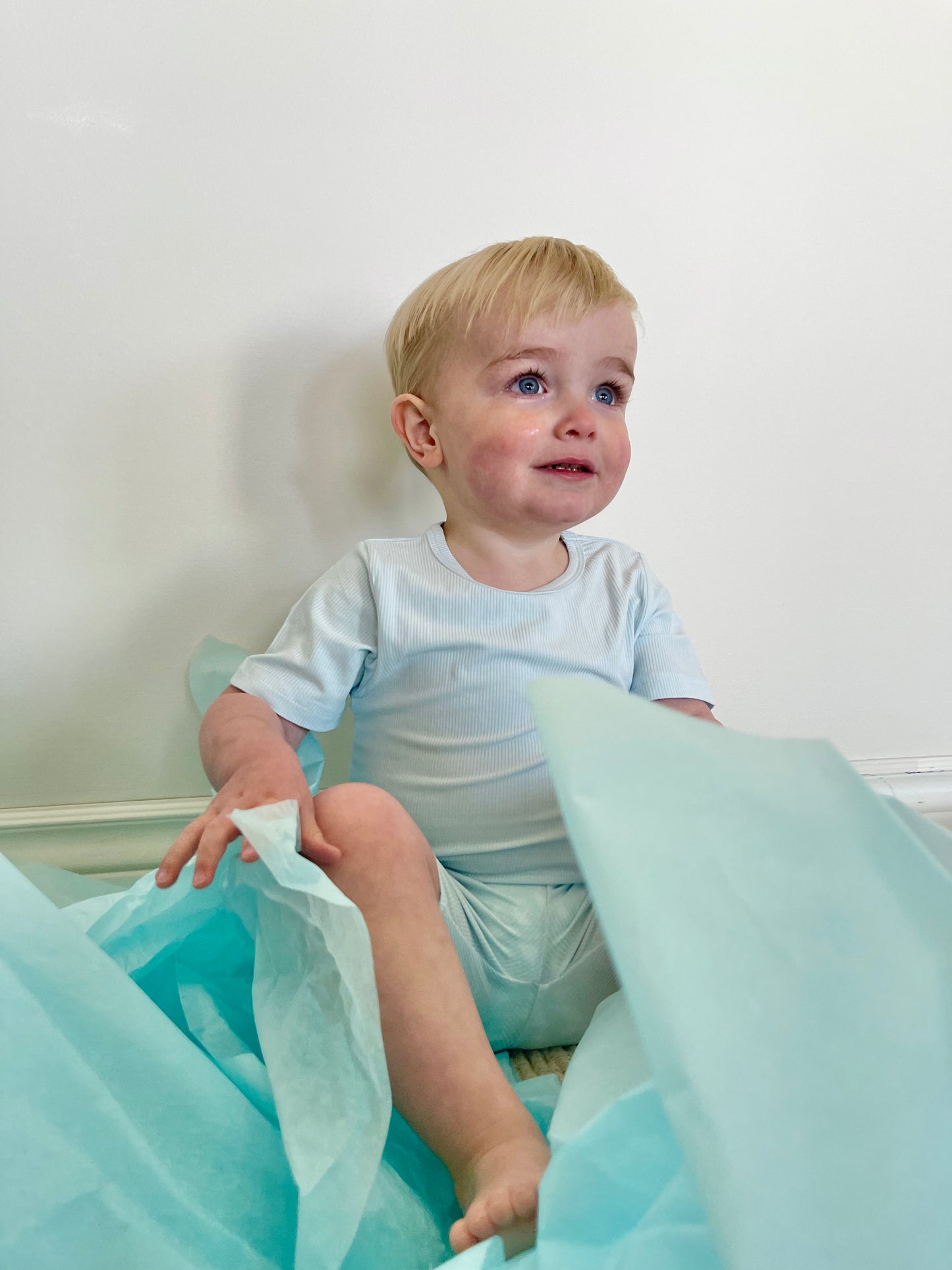 Ribbed Short Sleeve Pajamas in Blue Raspberry